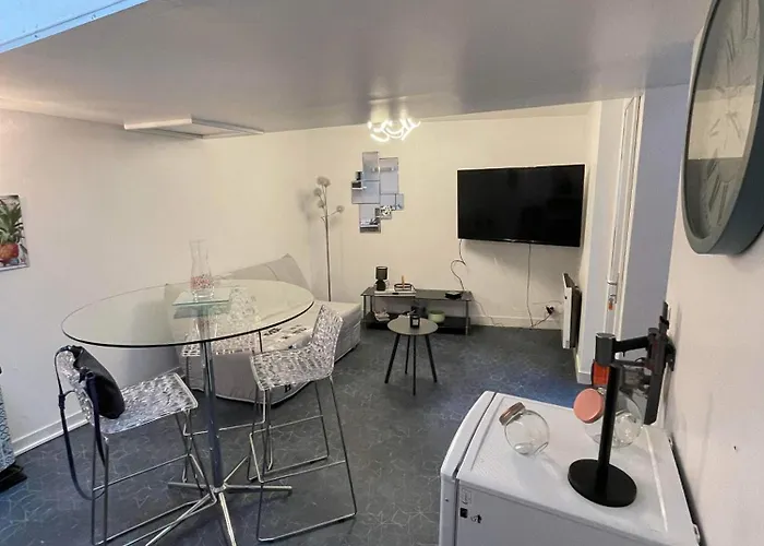 Joli Petit F1 Plein Centre Ville